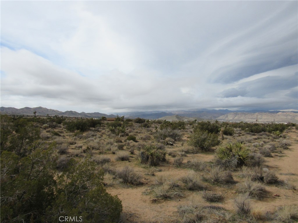 MLS #JT25152173 image #24