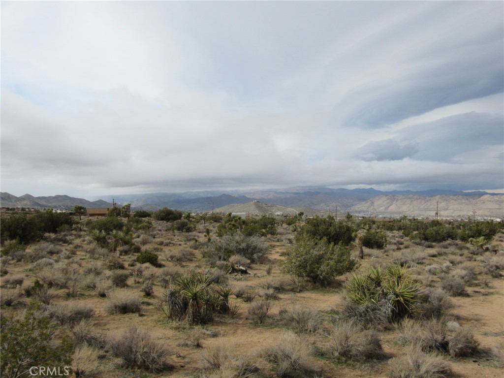 MLS #JT25152173 image #25