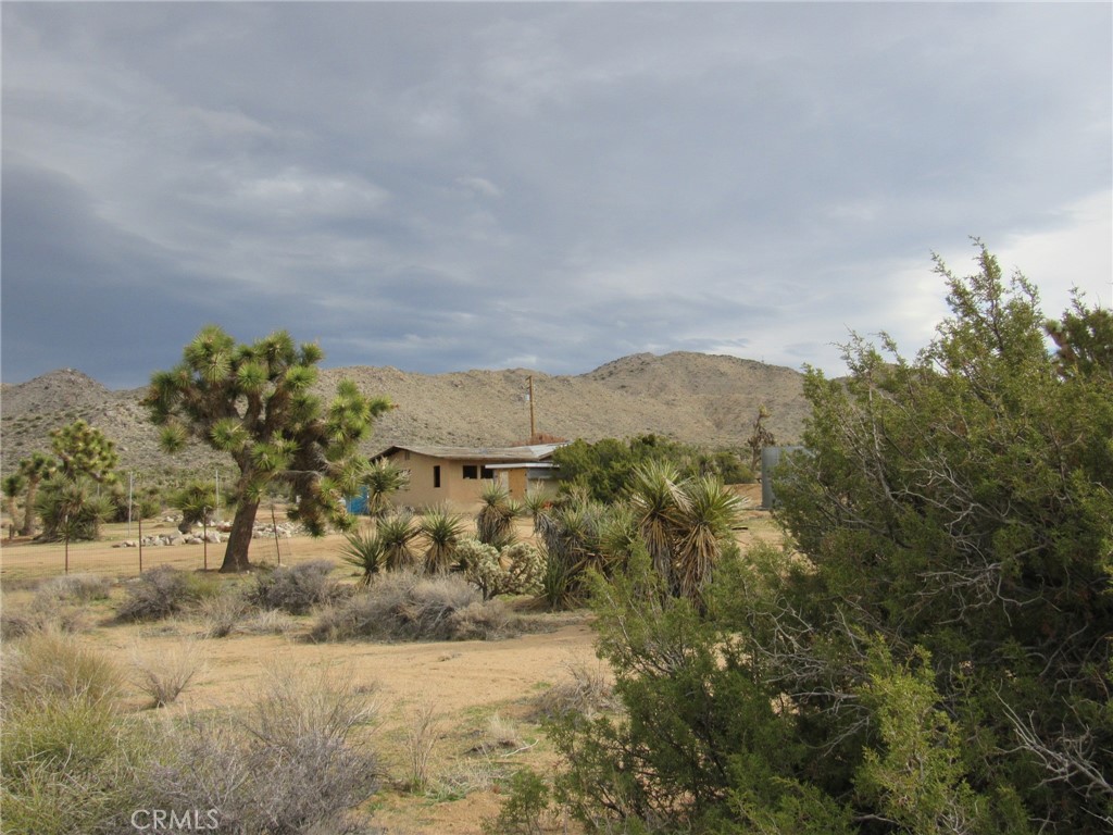 MLS #JT25152173 image #26