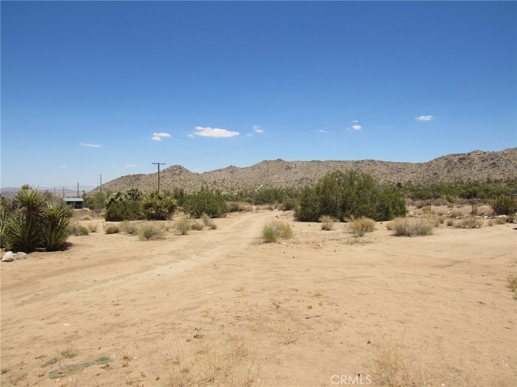 MLS #JT25152173 image #3