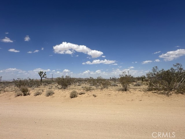 MLS #JT25153153 image #1