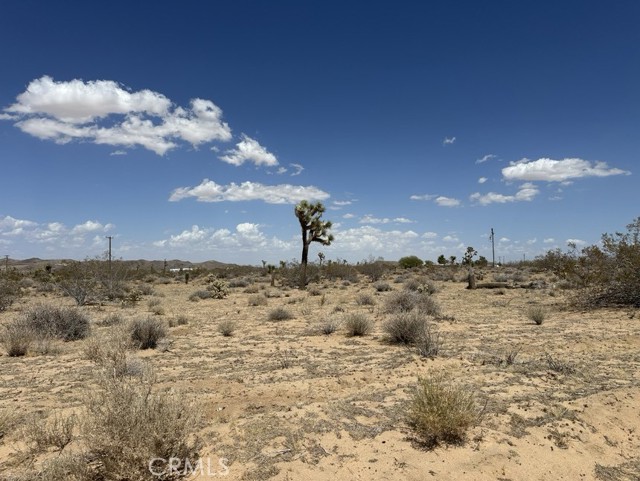 MLS #JT25153153 image #2