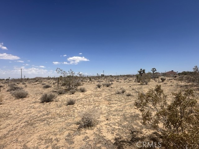 MLS #JT25153153 image #3