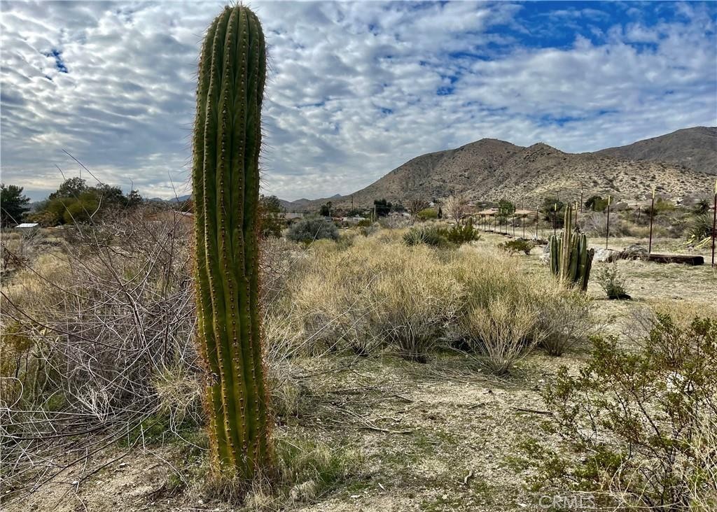 MLS #JT25153669 image #10