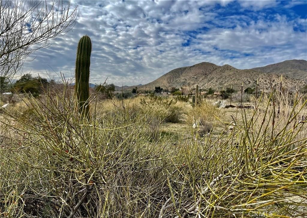 MLS #JT25153669 image #11