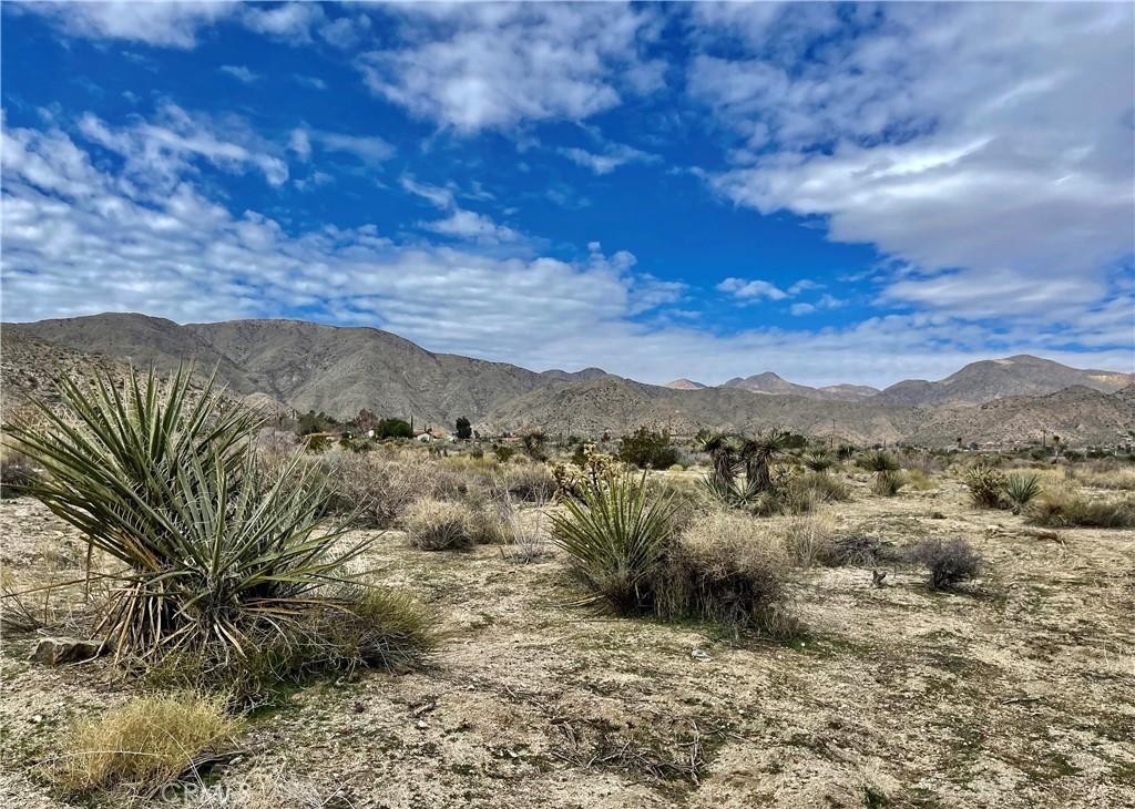 MLS #JT25153669 image #12