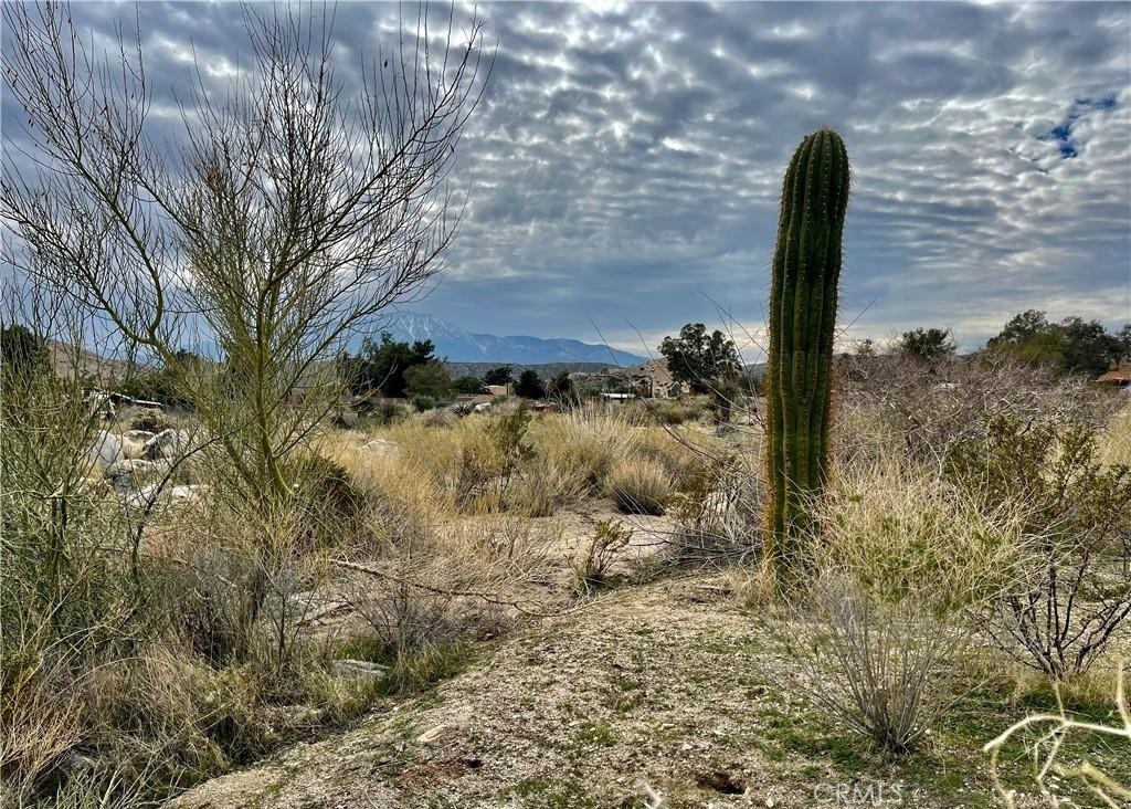 MLS #JT25153669 image #5