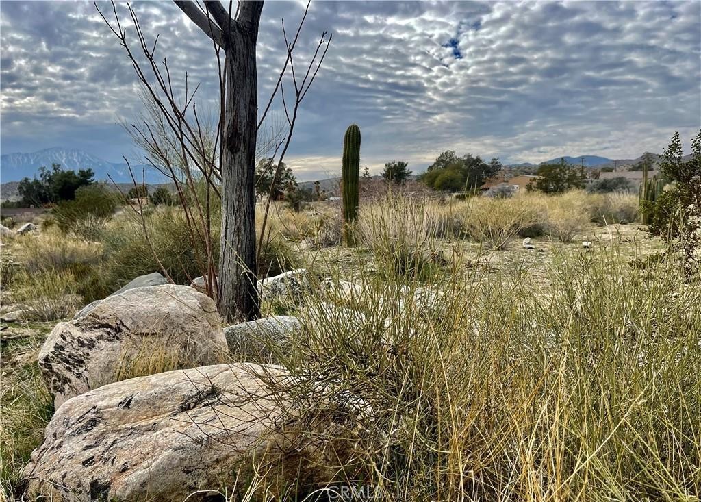 MLS #JT25153669 image #7