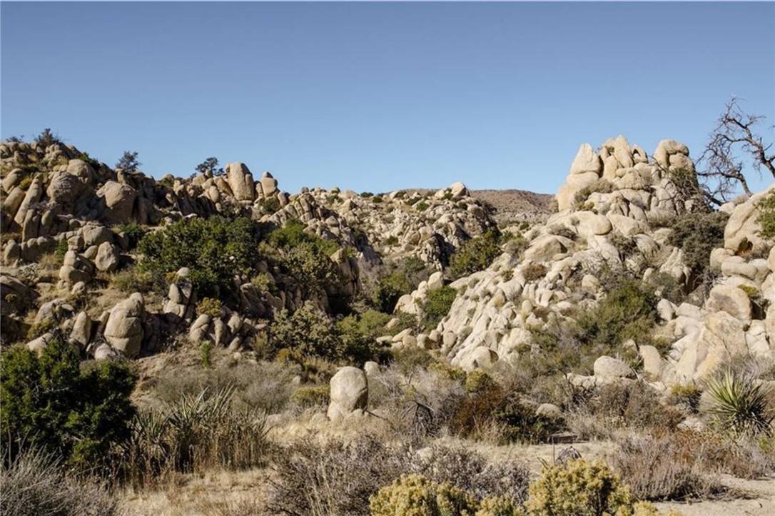 MLS #JT25156041 image #29