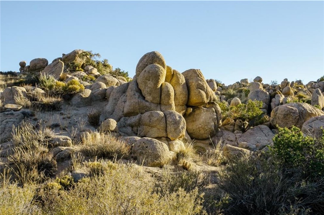 MLS #JT25156041 image #30