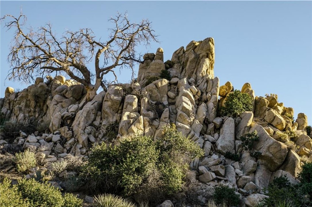 MLS #JT25156041 image #32