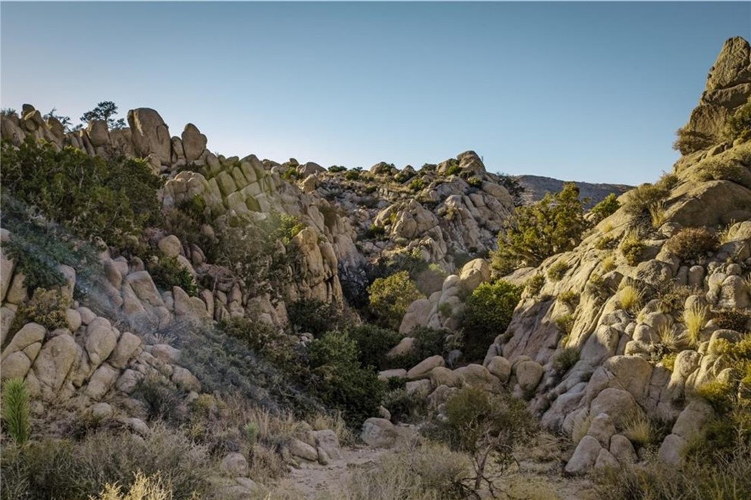 MLS #JT25156041 image #33