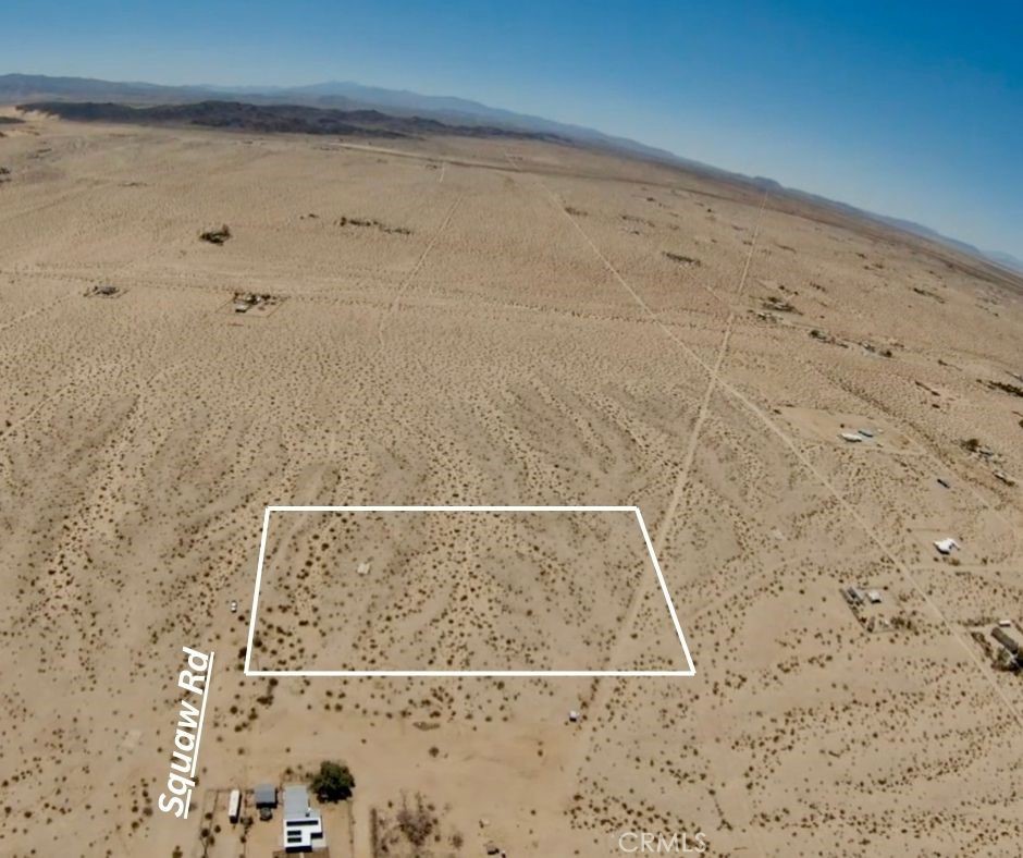 MLS #JT25156419 image #3