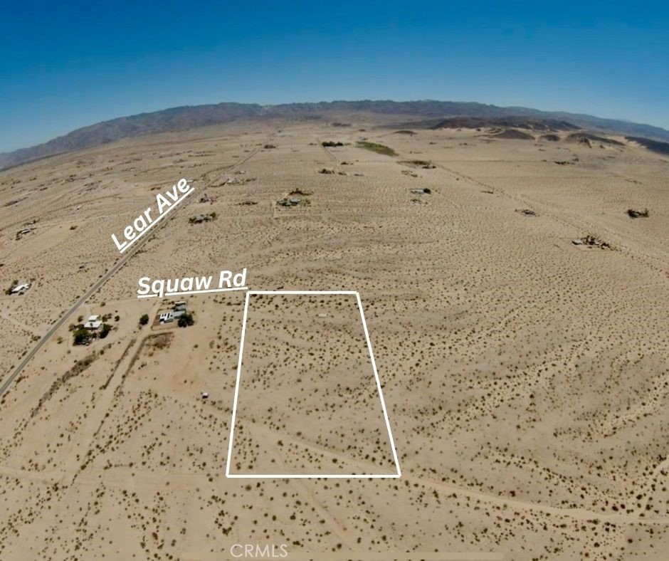 MLS #JT25156419 image #4