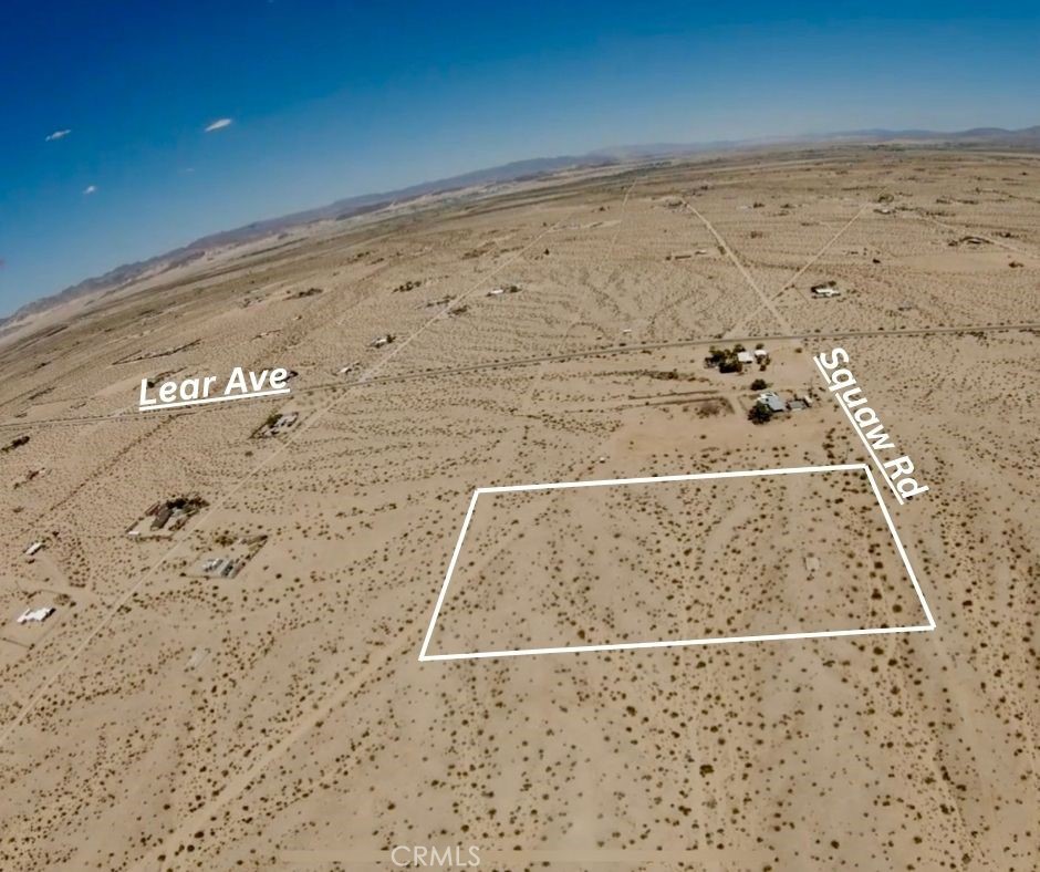 MLS #JT25156419 image #5