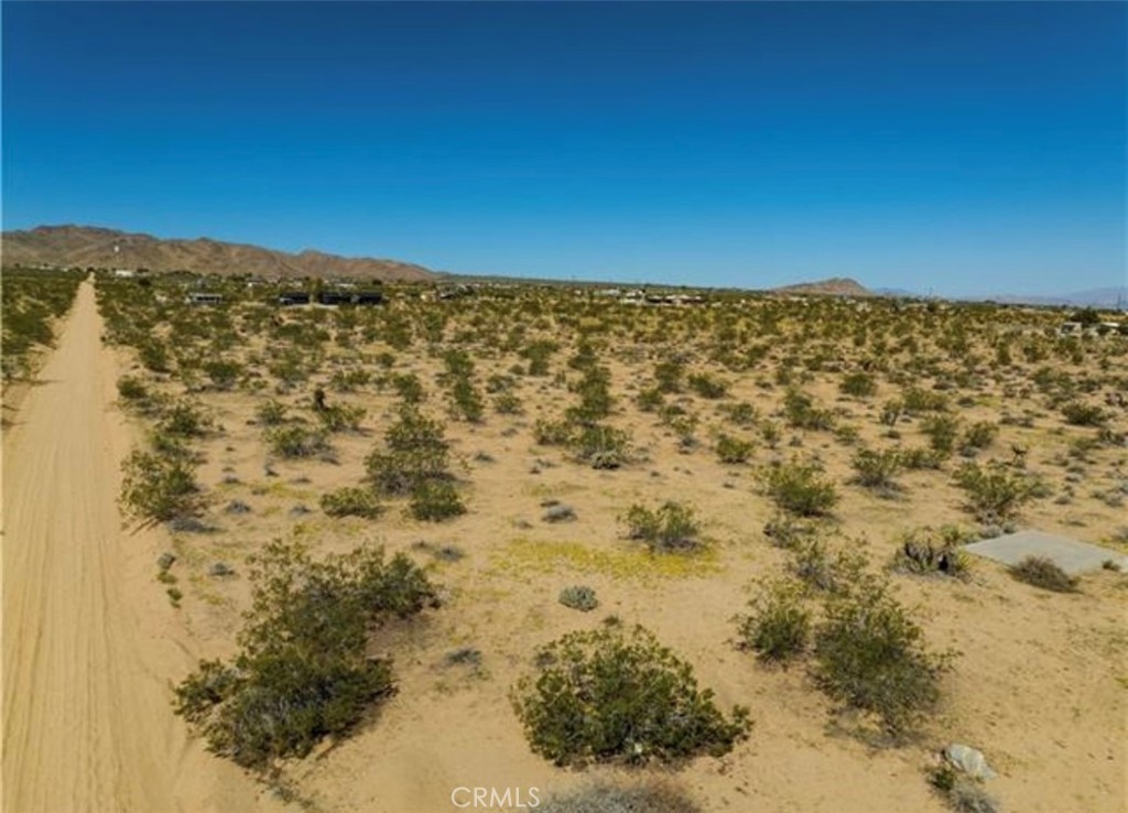 MLS #JT25157764 image #5