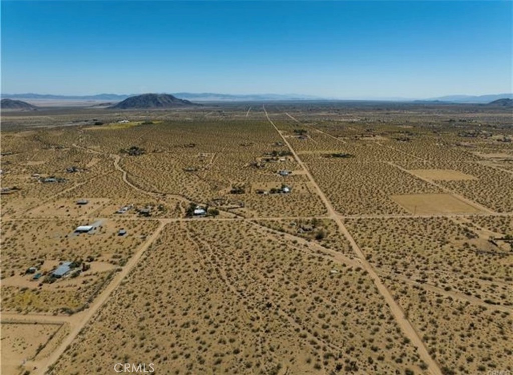 MLS #JT25157764 image #6