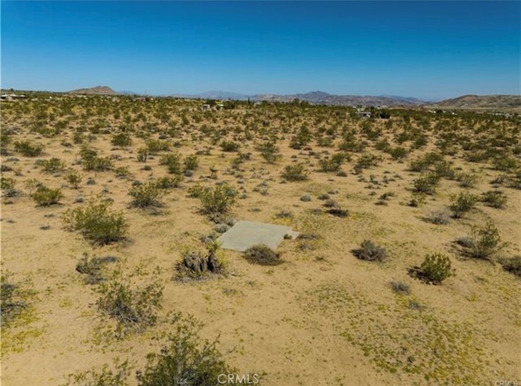 MLS #JT25157764 image #8