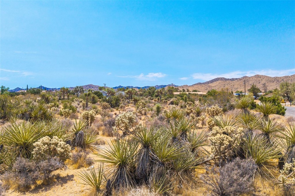 MLS #JT25158231 image #1