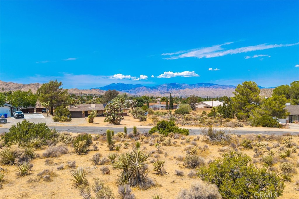 MLS #JT25158231 image #12