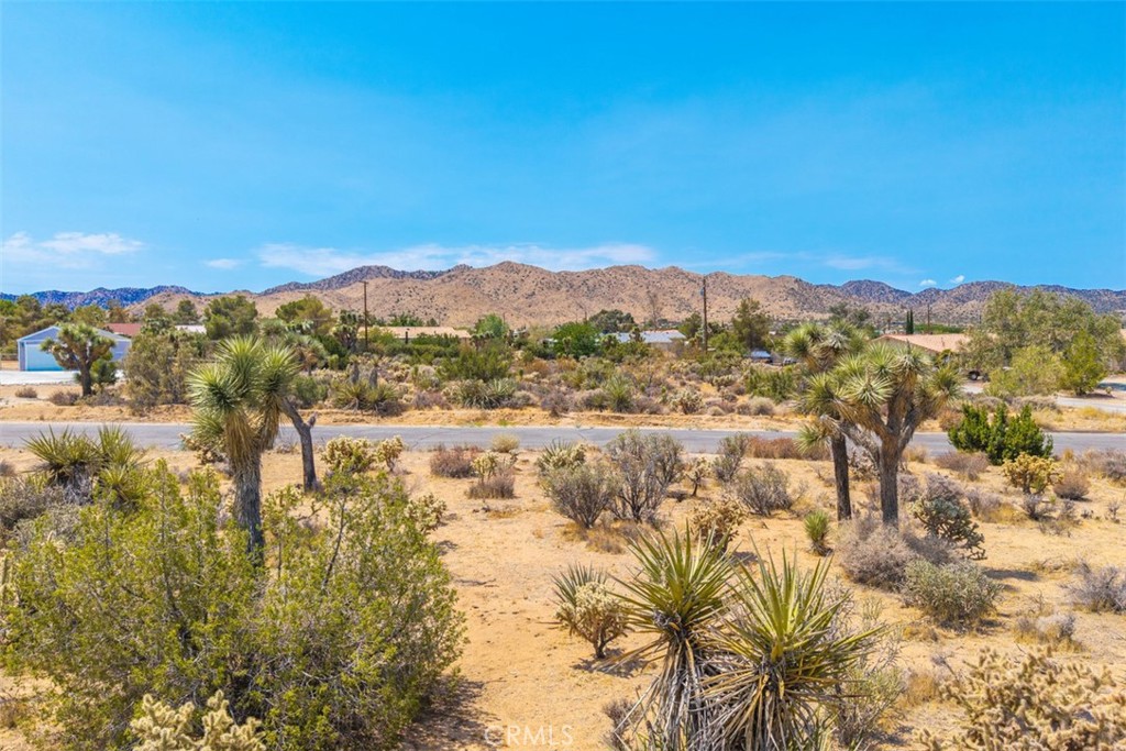 MLS #JT25158231 image #13