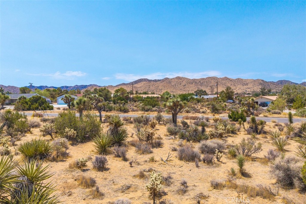 MLS #JT25158231 image #14