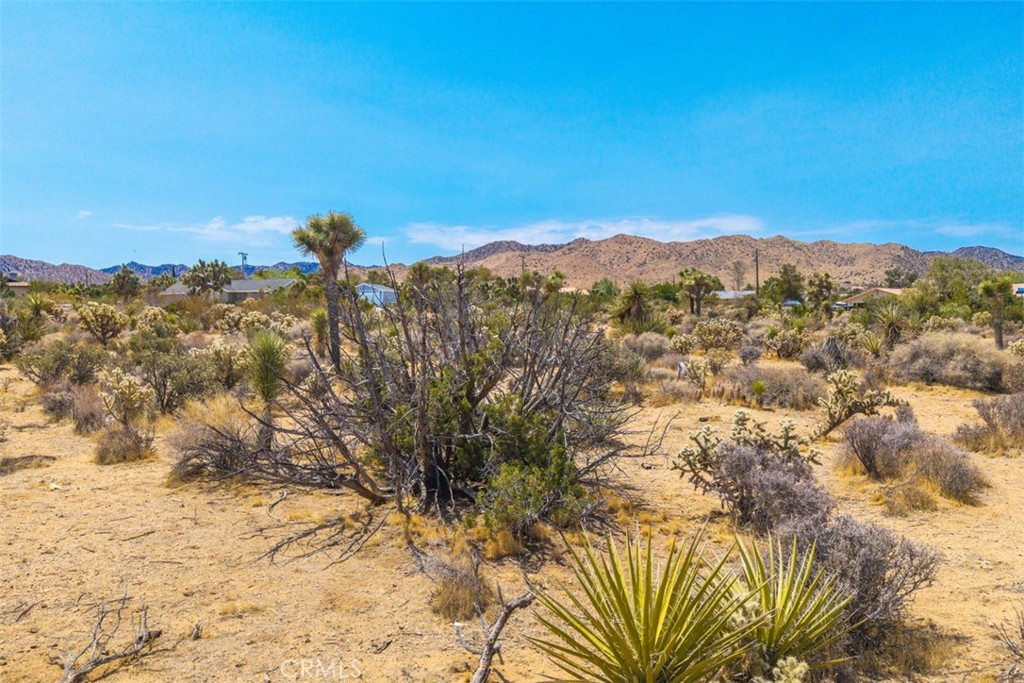 MLS #JT25158231 image #16