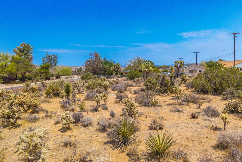 MLS #JT25158231 image #3