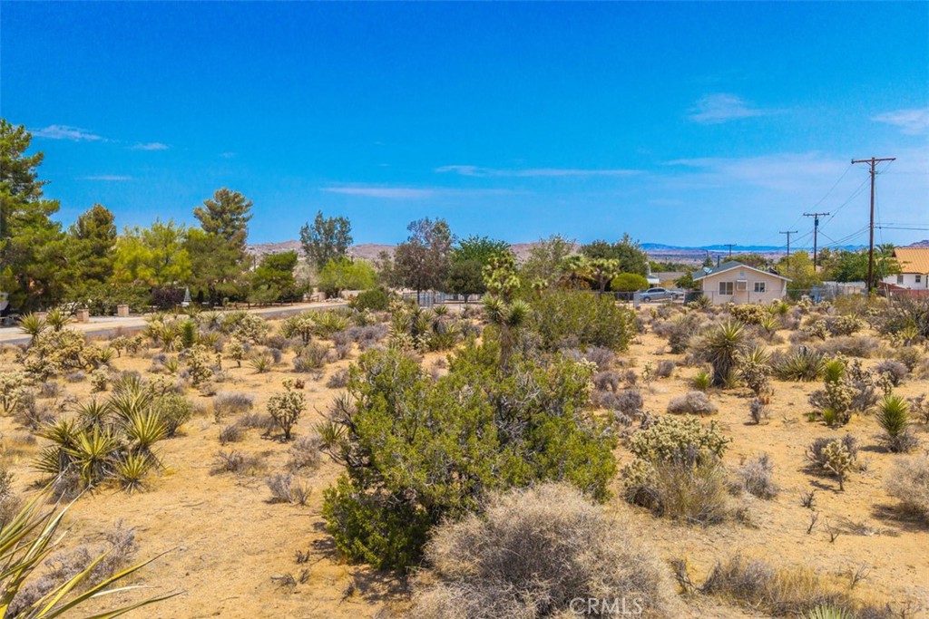 MLS #JT25158231 image #4