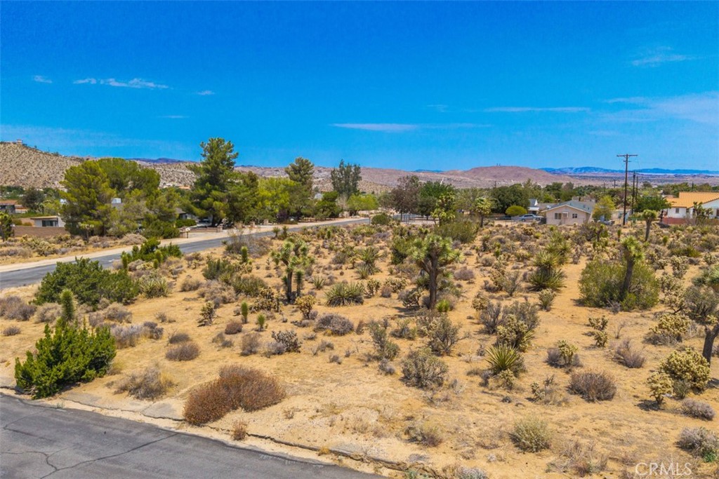 MLS #JT25158231 image #7