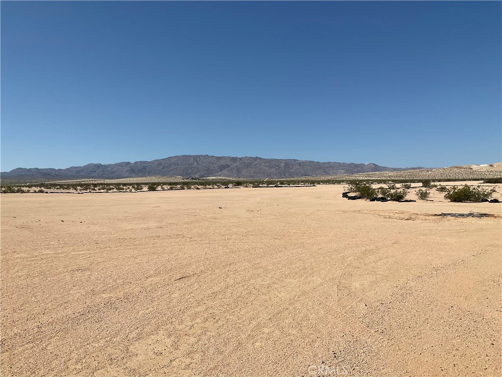 MLS #JT25159423 image #9