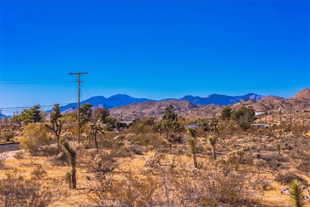 MLS #JT25159609 image #27