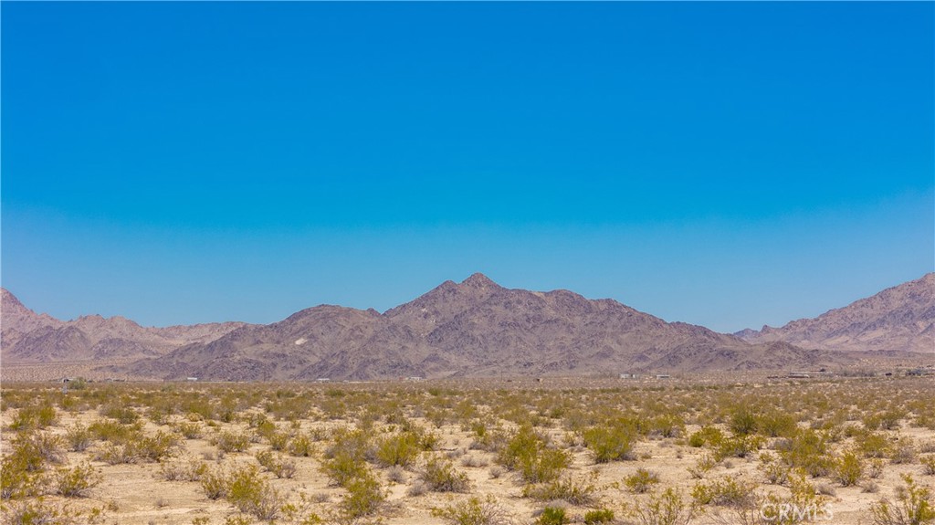 MLS #JT25160391 image #1