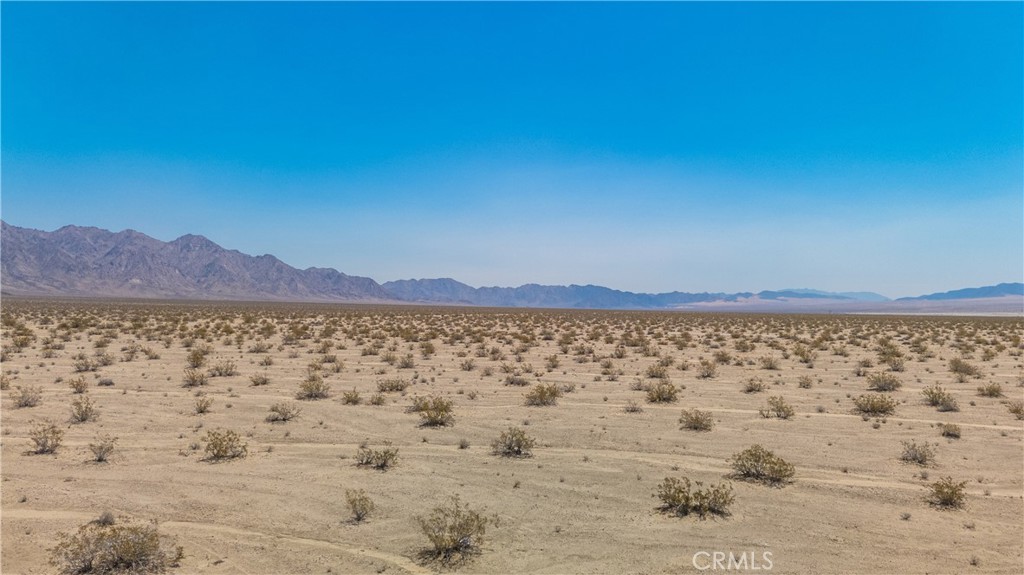 MLS #JT25160391 image #10