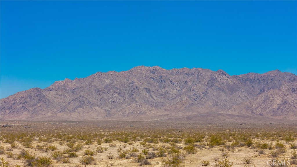 MLS #JT25160391 image #12