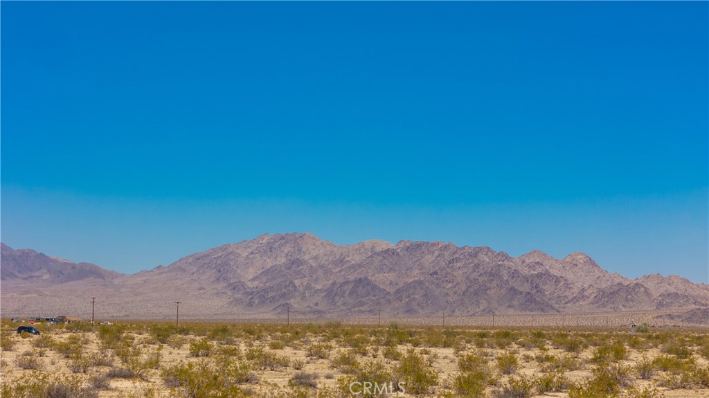 MLS #JT25160391 image #13