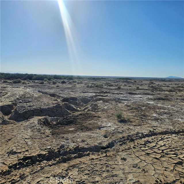 MLS #JT25160742 image #1