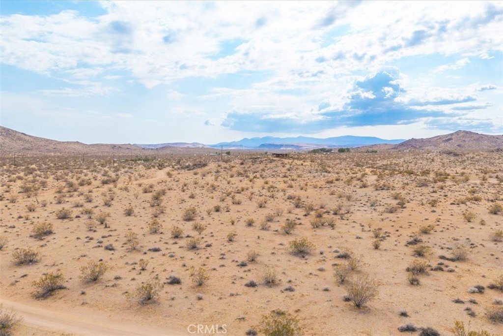 MLS #JT25161247 image #10