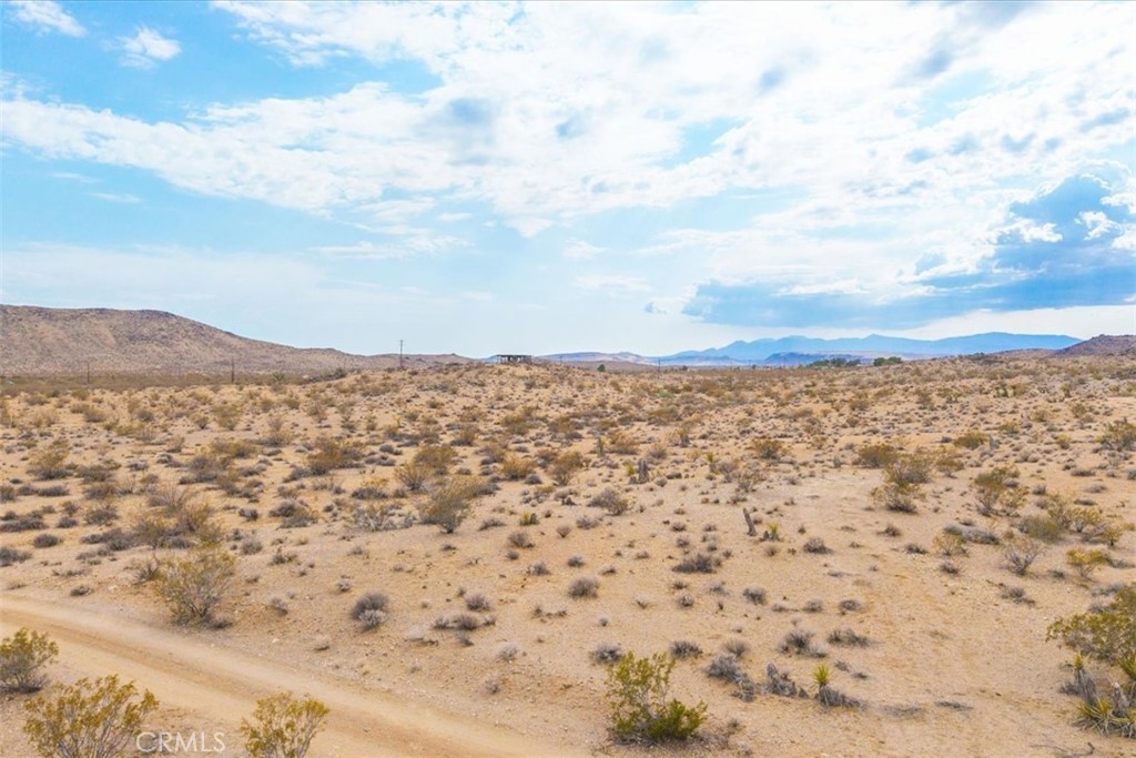 MLS #JT25161247 image #11