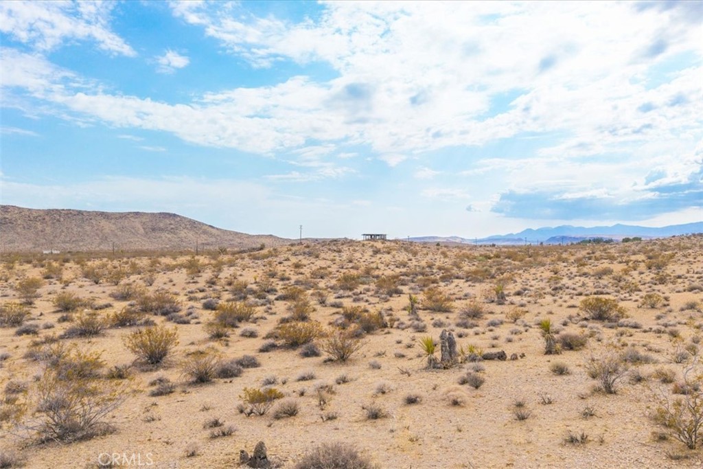 MLS #JT25161247 image #12