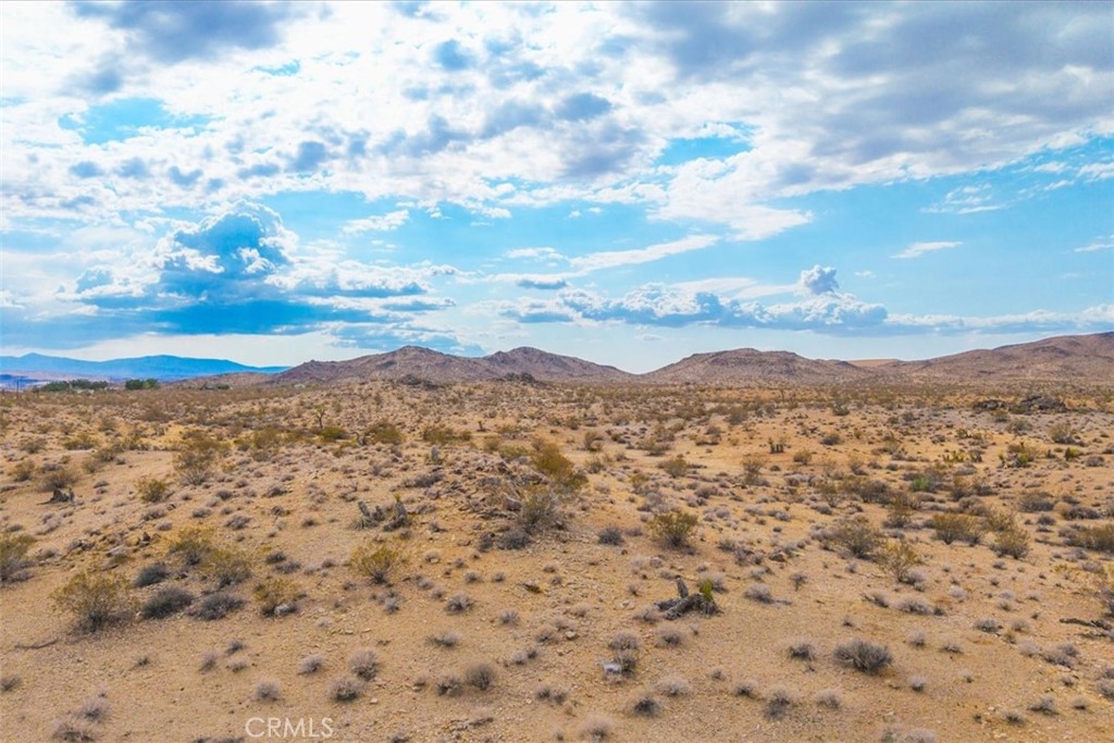 MLS #JT25161247 image #15