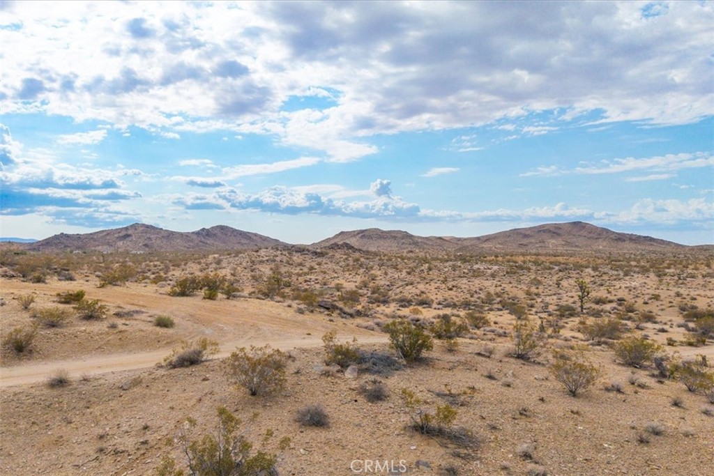 MLS #JT25161247 image #17