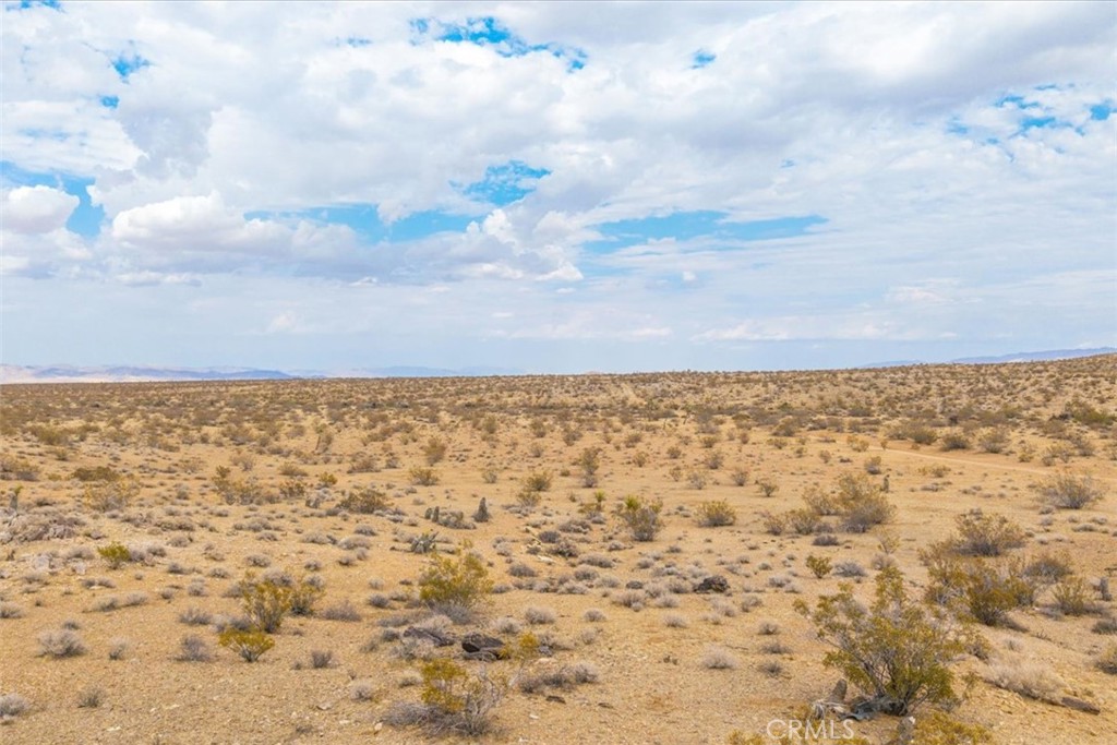 MLS #JT25161247 image #18