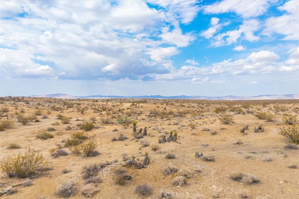 MLS #JT25161247 image #19