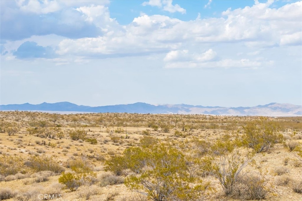 MLS #JT25161247 image #20