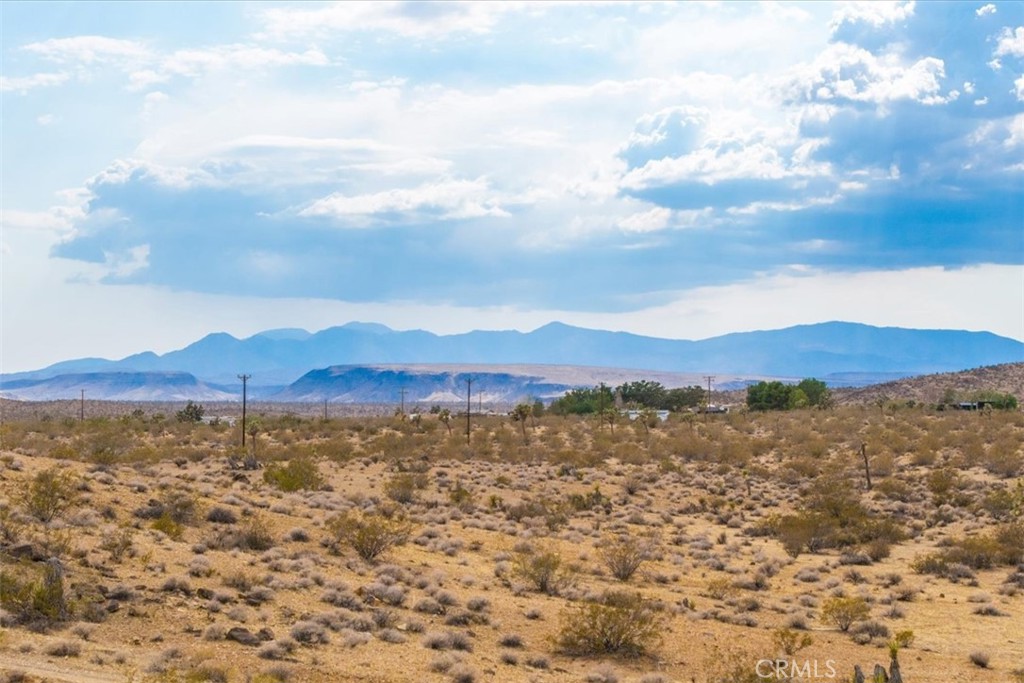 MLS #JT25161247 image #22