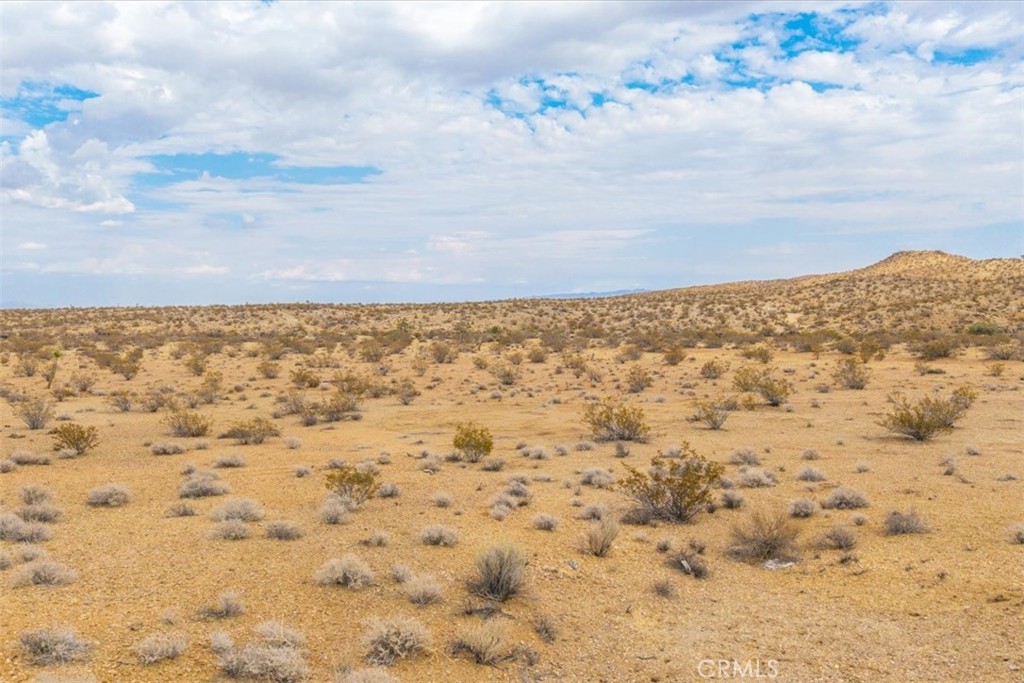 MLS #JT25161247 image #23