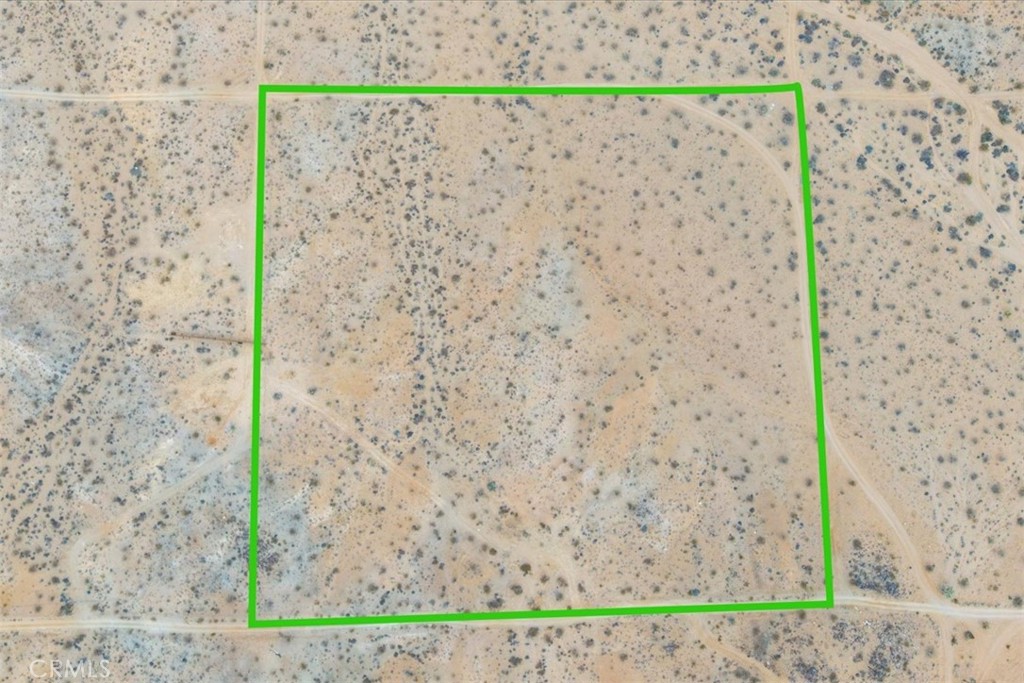 MLS #JT25161247 image #8