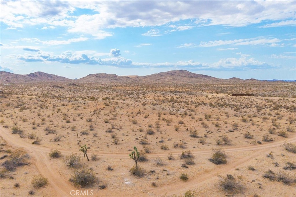 MLS #JT25161247 image #9