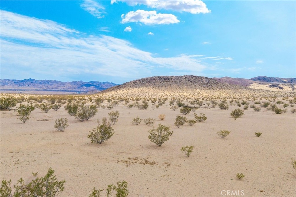 MLS #JT25161930 image #19